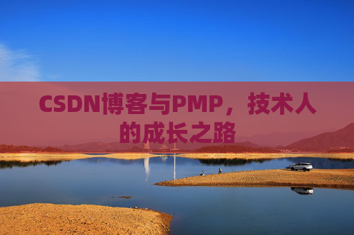 CSDN博客与PMP,技术人的成长之路